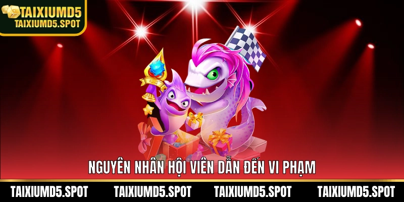 Nguyên nhân hội viên dẫn đến vi phạm