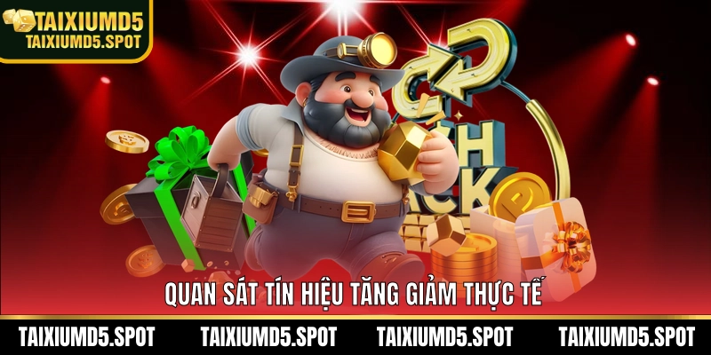 Quan sát tín hiệu tăng giảm thực tế