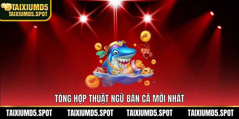 Tổng hợp thuật ngữ bắn cá mới nhất