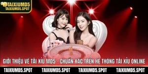 Giới thiệu về Tài Xỉu MD5