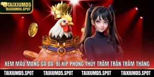 màu mạng gà đá