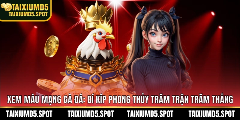 màu mạng gà đá